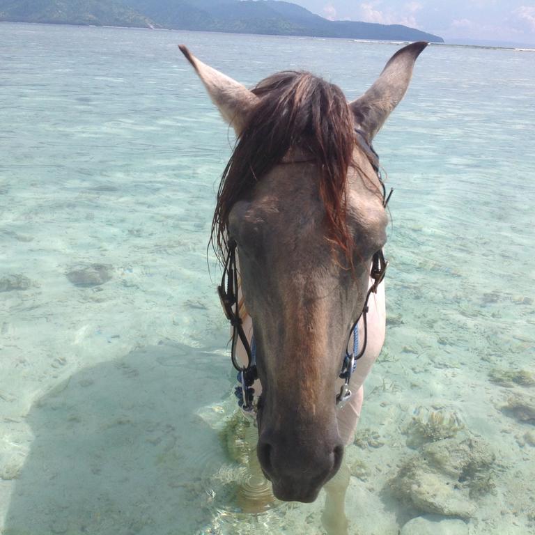 Hotel Gili T Sugar Shack Gili Trawangan Exterior foto